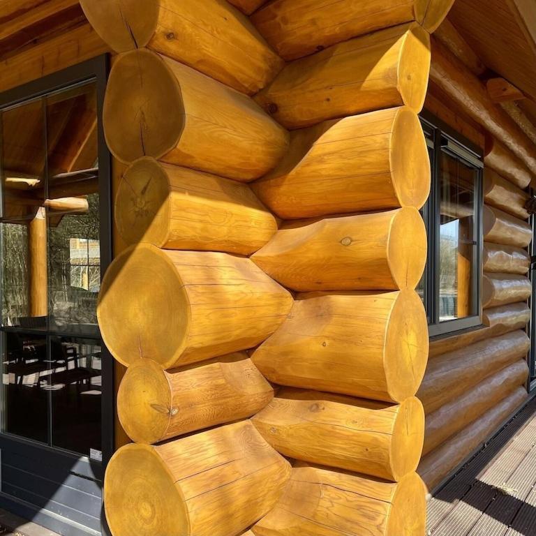 Unieke Houten Villa Met Sauna In Twente - 5P Den Ham Luaran gambar